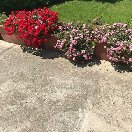 Adema Bed & Breakfast