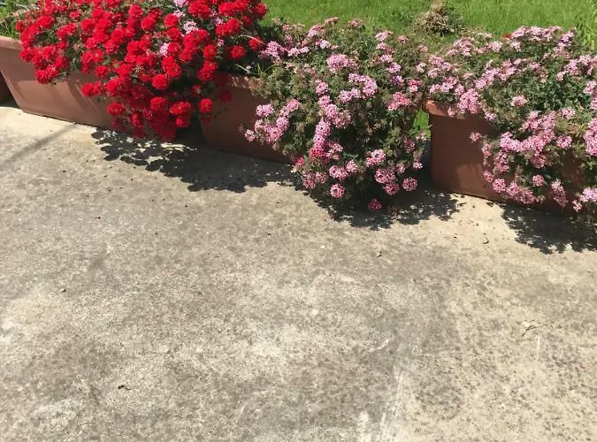 Adema Bed & Breakfast