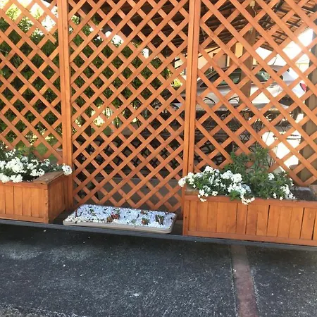 阿德玛住宿加早餐旅馆 住宿加早餐酒店