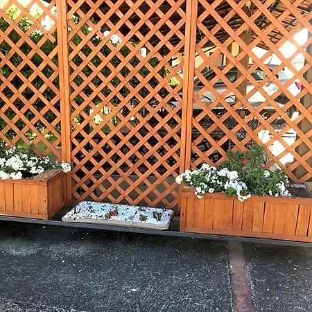 Bed & Breakfast Adema Agropoli