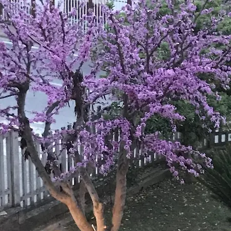 Adema Nocleg ze śniadaniem Agropoli