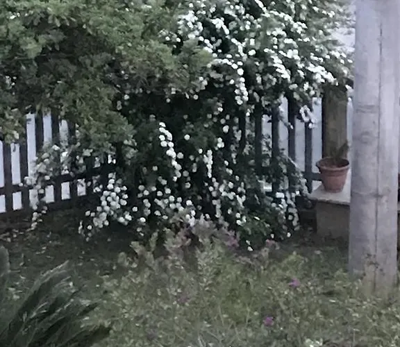 住宿加早餐酒店 Adema 阿格罗波利