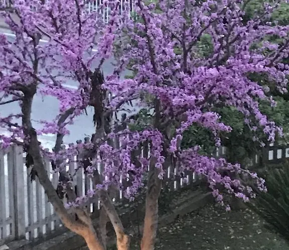 Adema فندق مبيت وإفطار أغروبولي